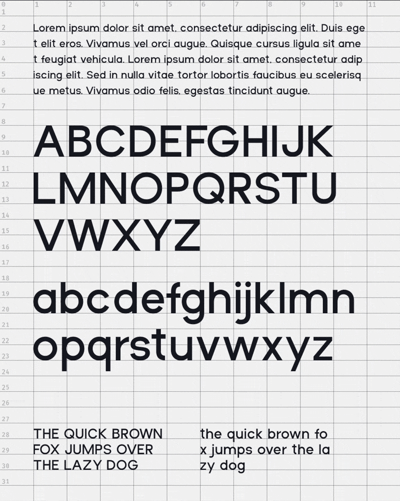 Design experiment showing algorithmicly generated visuals